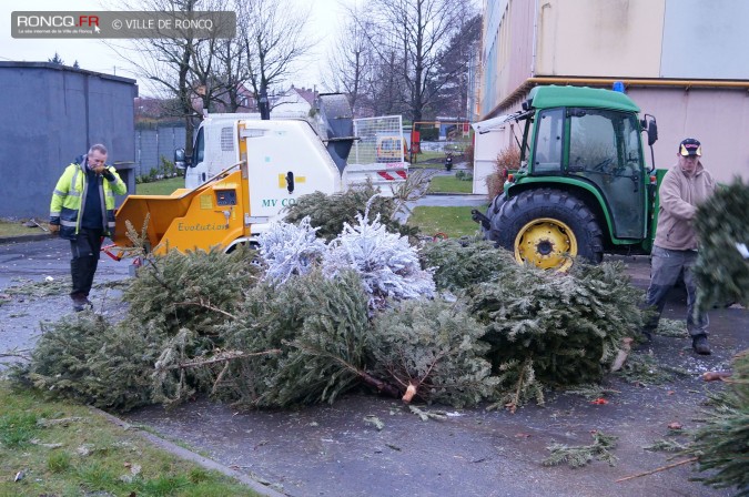 2014 - Broyage des sapins2