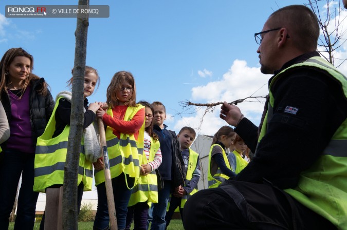 2014 - Plus d arbres plus de vie : les enfants font une haie