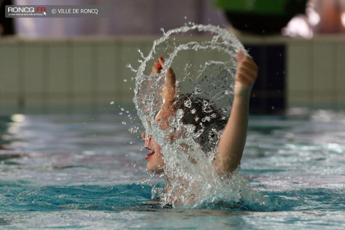 2014 - gala natation