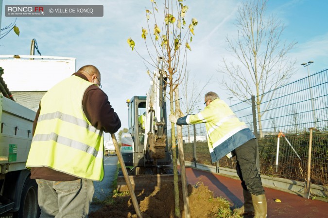 2015 - arbres je grandis