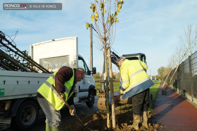 2015 - arbres je grandis