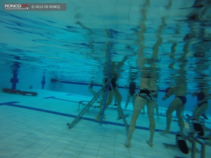 2015 - aquatraining formation