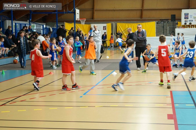 2015 - basket paniers