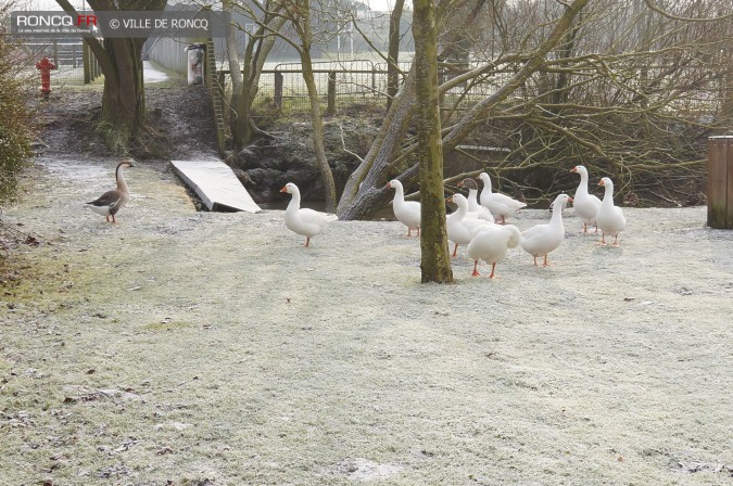 2015 - neige romantique