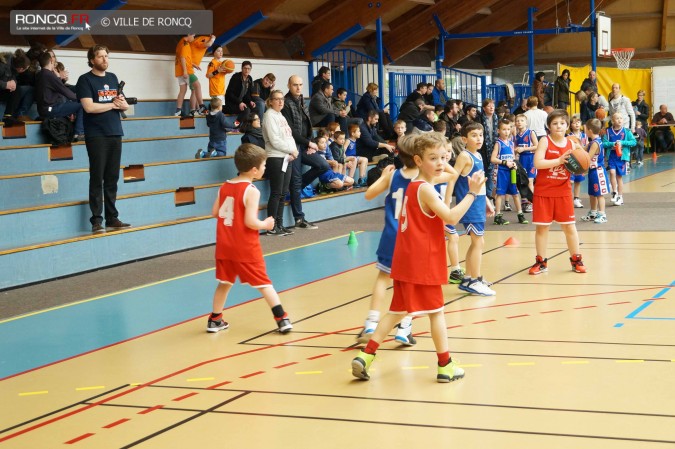 2015 - basket paniers