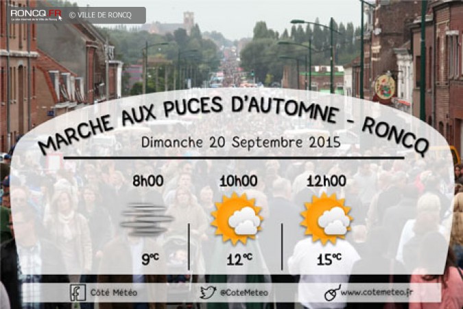 2015 - puces automne