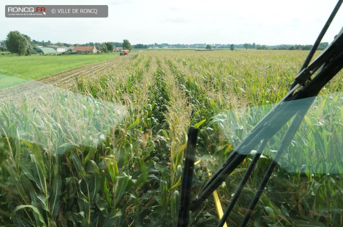 2015 - ensilage 