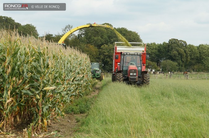 2015 - ensilage 