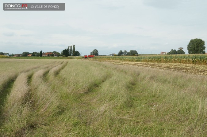 2015 - ensilage 