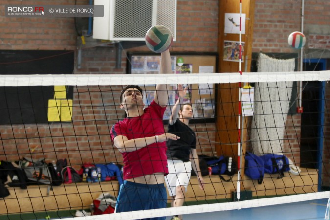 2016 - volley