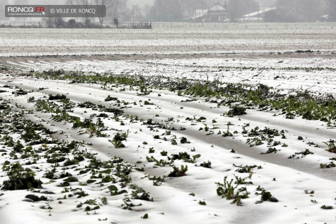 2017 - alerte neige