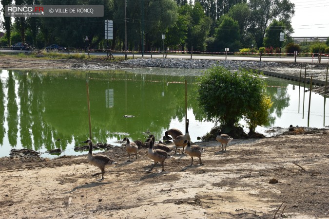 2017 - etang visite 