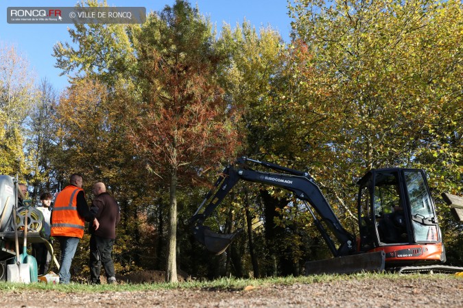 2018 - plantation d'un arbre