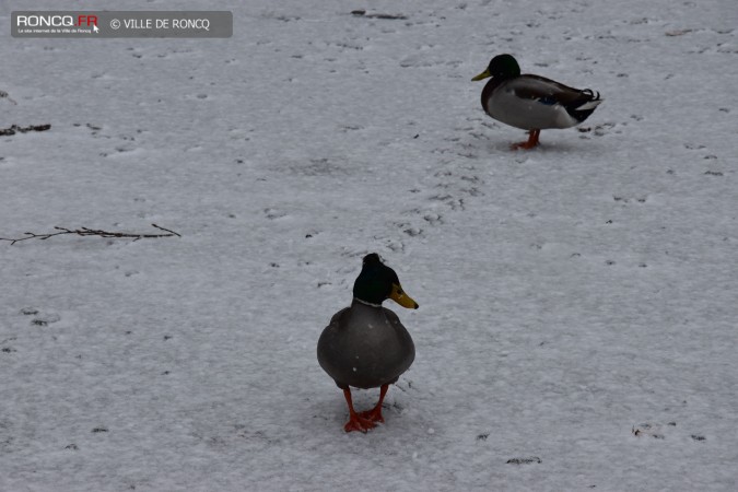 2018 - neige fevrier