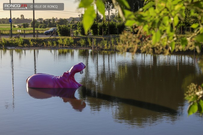 2018 - mise à l'eau Hippo