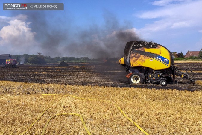 incendie chats huants