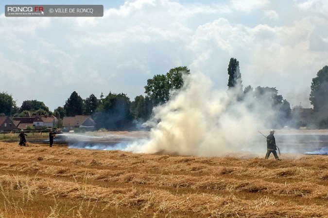 incendie chats huants