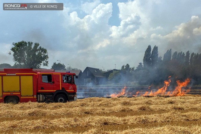 incendie chats huants