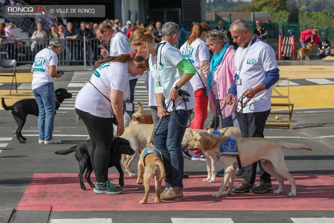 2018 - Chiens portes 2018