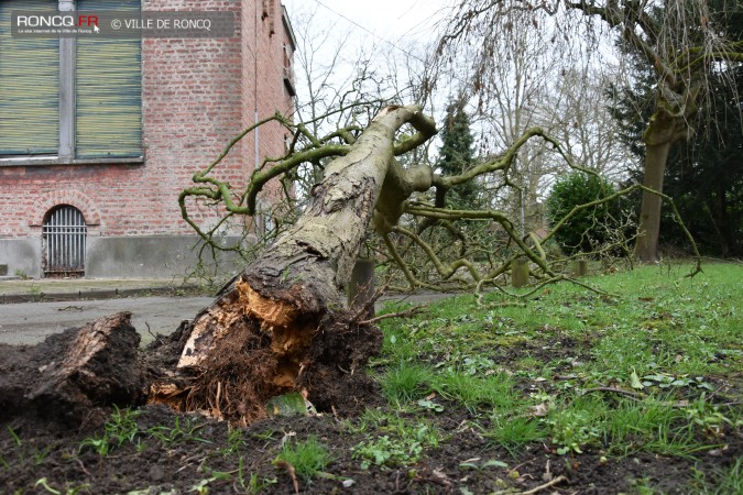 2019 - tempete 10 mars