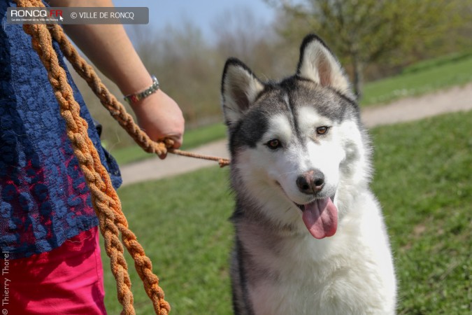 2019 - Parc Canin