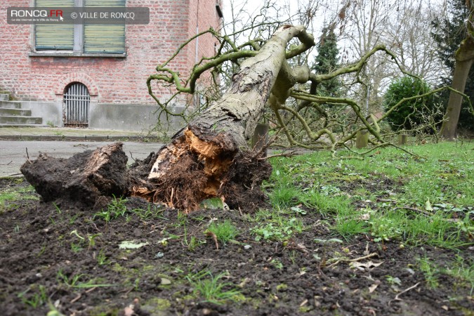 2019 - tempete 10 mars