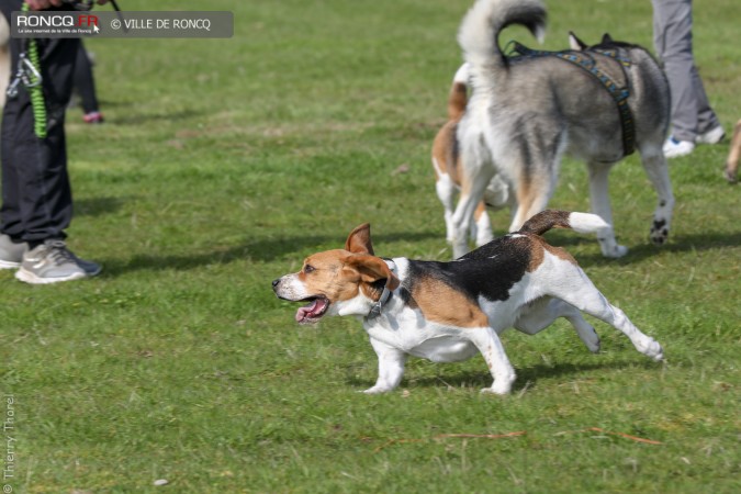 2019 - Parc Canin