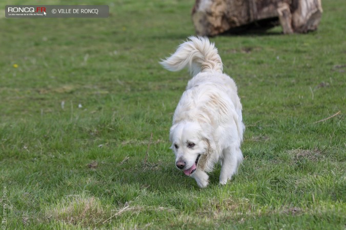 2019 - Parc Canin