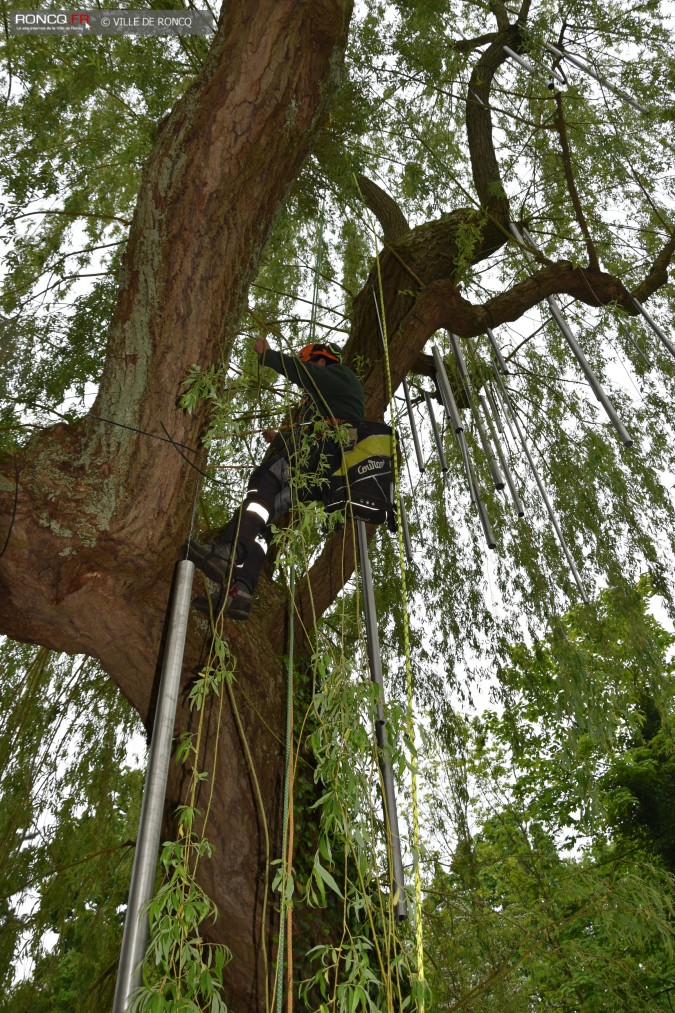 2019 - saule carillon installation