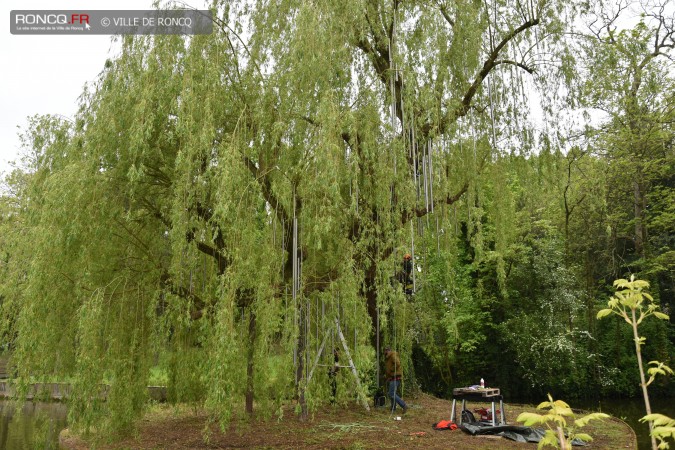 2019 - saule carillon installation