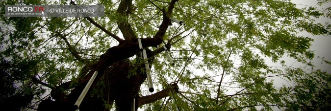 2019 - saule carillon installation