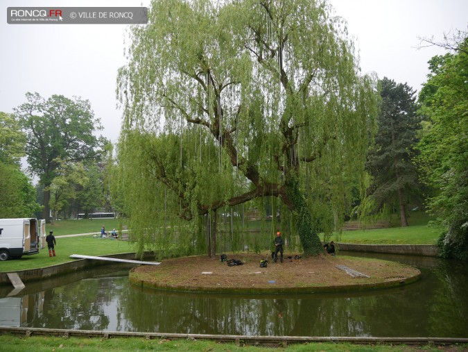 2019 - saule carillon installation