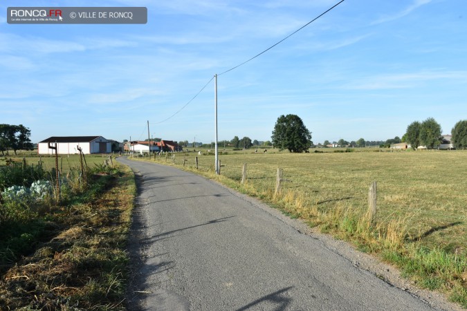 2019 - Carriere Mme de Flandre