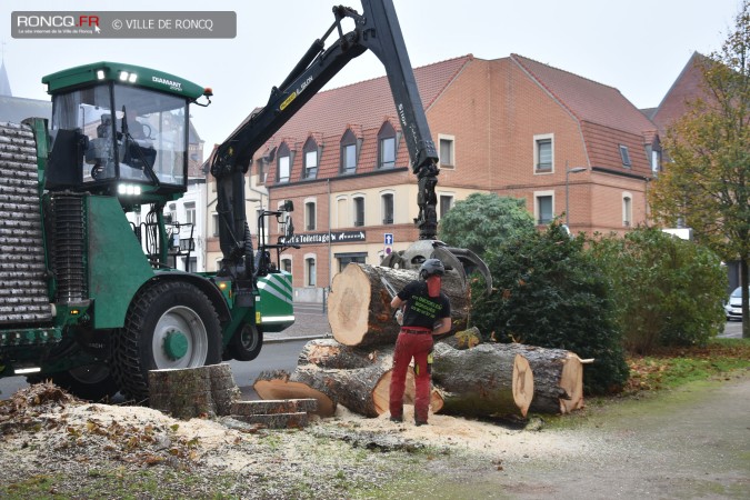 2020 - abattage Mairie