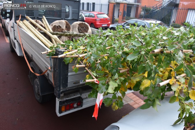 2020 - Plantations rue du Moulin