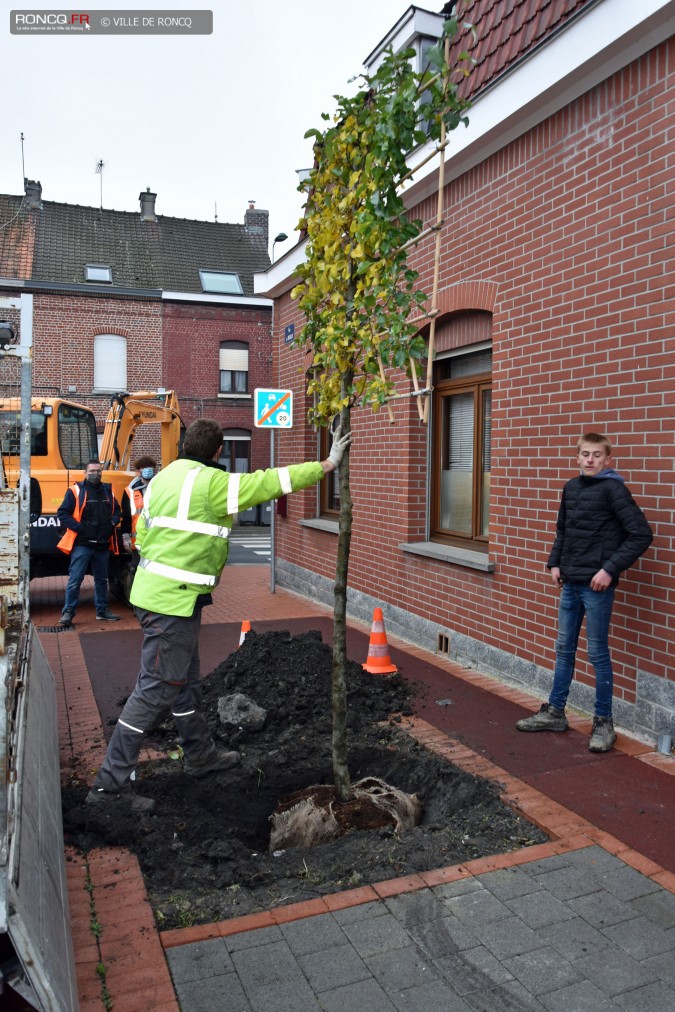 2020 - Plantations rue du Moulin