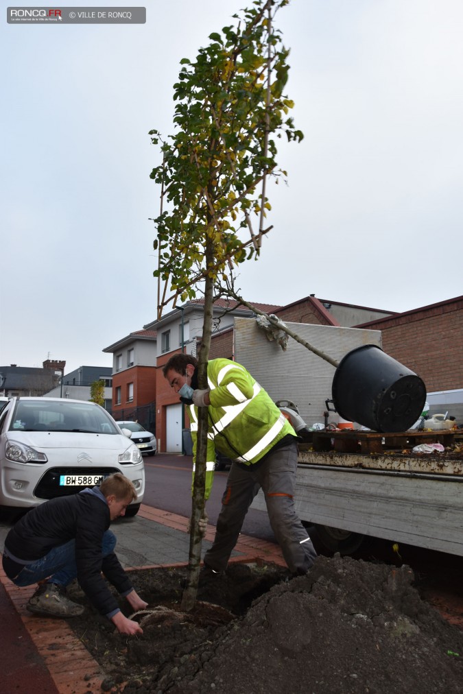 2020 - Plantations rue du Moulin