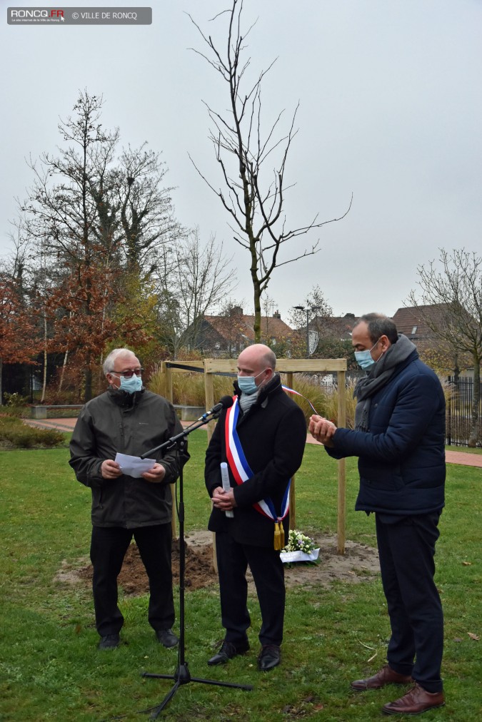 2020 - Arbre de la laicite