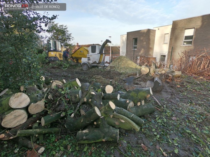 2020 - Chantier Vieille Cour