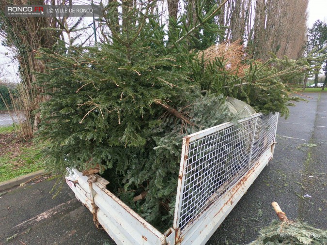 2021 - collecte sapins