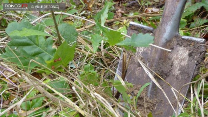  Biodiversité