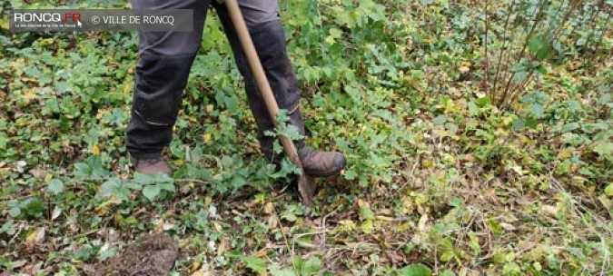  Biodiversité