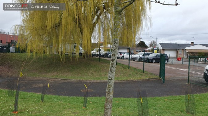 MINI FORET EN DEVENIR A L'ECOLE BREL 