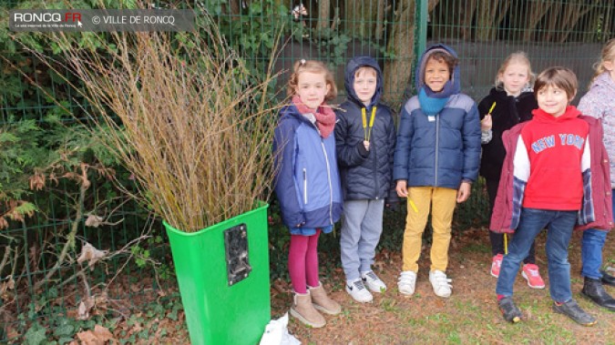 MINI FORET EN DEVENIR A L'ECOLE BREL 