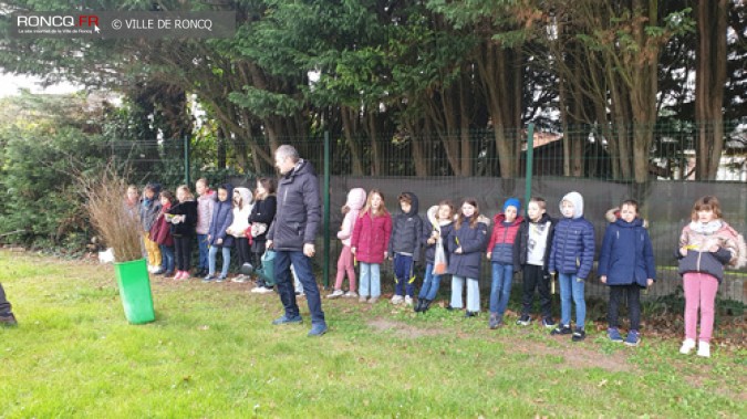 MINI FORET EN DEVENIR A L'ECOLE BREL 